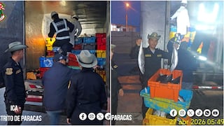 Pisco: intervienen dos vehículos con 9 mil kilos de pescado sin ninguna documentación