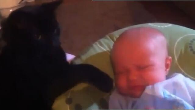 Gato calma a bebé que lloraba inconsolablemente (VIDEO)