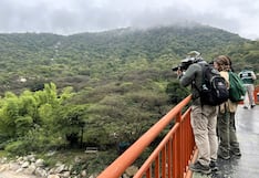 Promueven conservación de las aves en los bosques de Piura