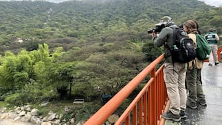 Promueven conservación de las aves en los bosques de Piura