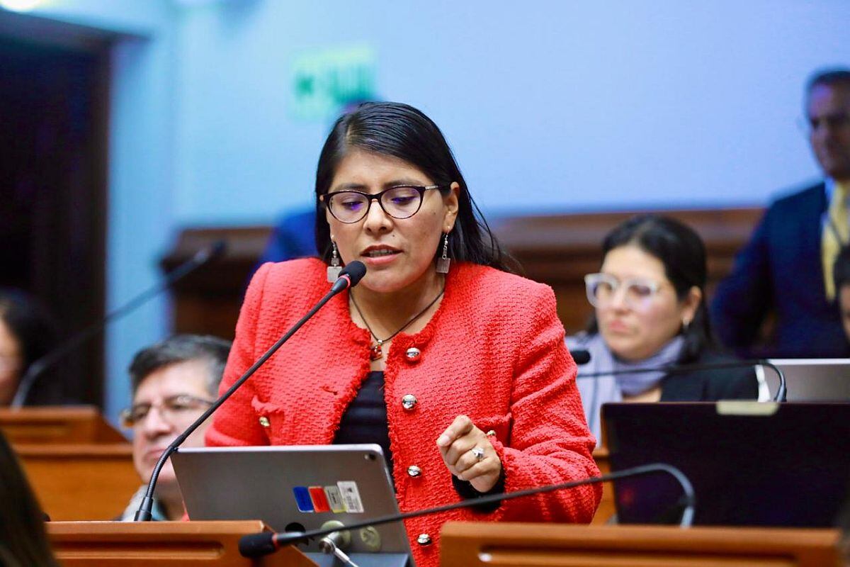 Palacios también señaló que el Congreso respondió rápidamente a una solicitud de Pedro Castillo en menos de 24 horas, en contraste con la situación actual. (foto: Congreso)
