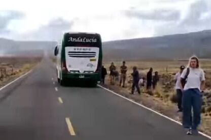 Advierten reiterados casos de atropello de vicuñas por parte de la empresa Andalucía. (Foto: GEC)