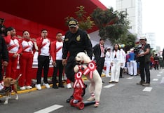 Gran Parada Militar 2026: Brigada Canina se prepara para su participación en la avenida Brasil (FOTOS)