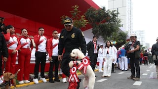 Gran Parada Militar 2026: Brigada Canina se prepara para su participación en la avenida Brasil (FOTOS)