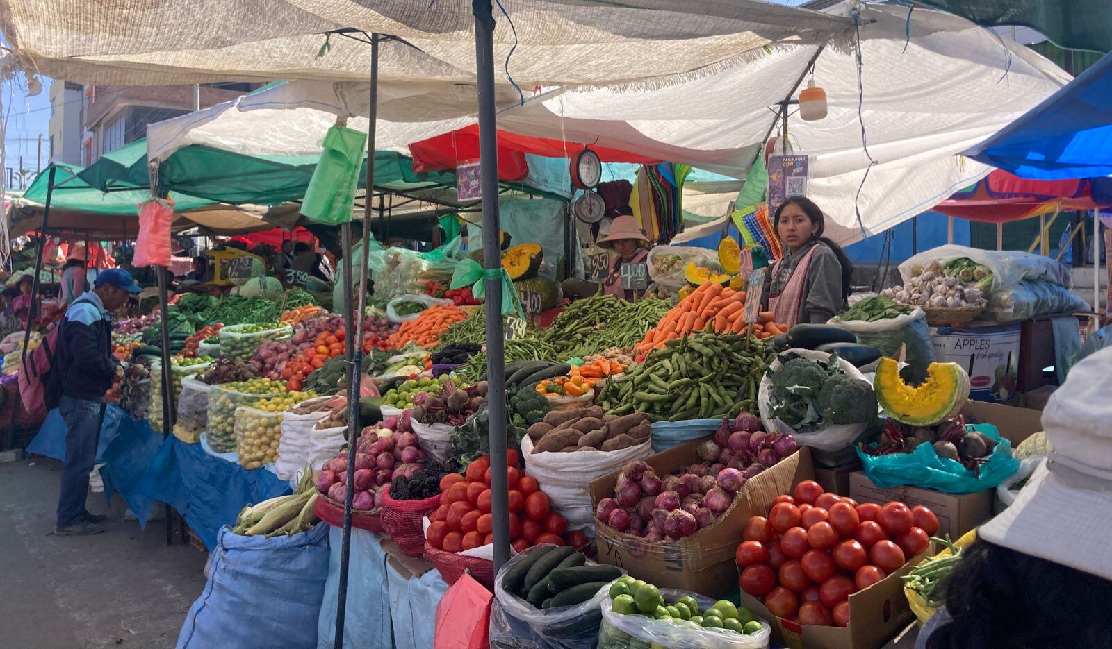 Los productos de primera necesidad cada semana aumentan o bajan de precio (Foto: GEC)