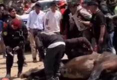 Huancavelica: Caballo sufre grave fractura en carrera y es sacrificado con disparos en plena competencia