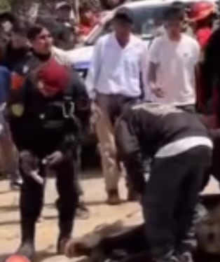 Huancavelica: Caballo sufre grave fractura en carrera y es sacrificado con disparos