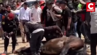 Huancavelica: Caballo sufre grave fractura en carrera y es sacrificado con disparos