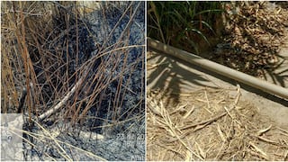 Ica: quemas para limpieza de acequias afectan tuberías de agua en Ocucaje