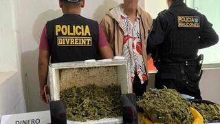 Ica: golpe al tráfico ilícito de drogas en el Pueblo Joven Señor de Luren y en San Juan Bautista  