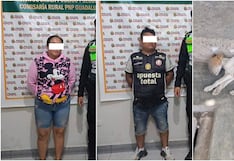 Investigados por presunta crueldad animal en Ica: perrito estaba desnutrido y con anemia