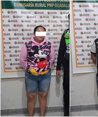 Investigados por presunta crueldad animal en Ica: perrito estaba desnutrido y con anemia