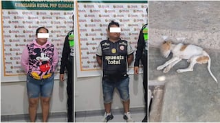 Investigados por presunta crueldad animal en Ica: perrito estaba desnutrido y con anemia