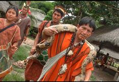 Chanchamayo: Serfor y la Policía fueron expulsados de Pampa Michi tras intentar decomisar animales