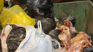 Ica: alertan por arrojo de restos de animales en diferentes sectores de la ciudad