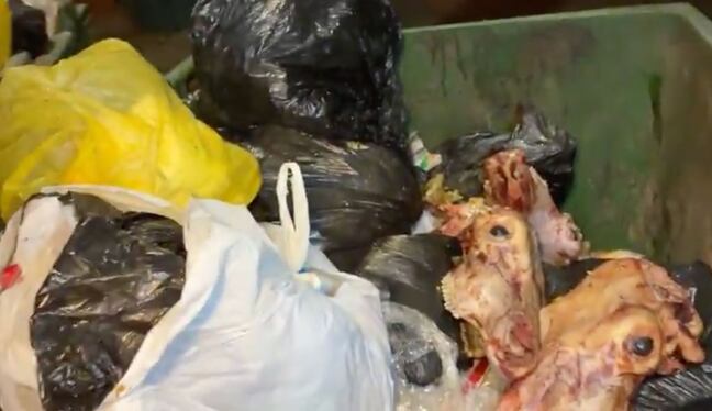 Ica: alertan por arrojo de restos de animales en diferentes sectores de la ciudad