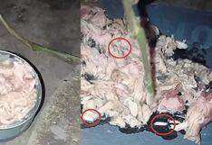 Piura: Padres denuncian que les entregaron atún con gusanos