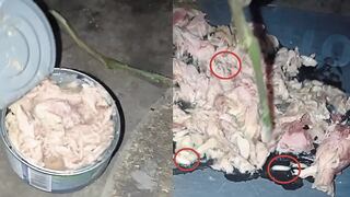 Piura: Padres denuncian que les entregaron atún con gusanos