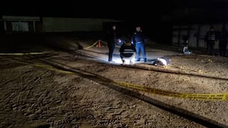 Villa El Salvador: Asesinan a balazos a hombre en playa Venecia