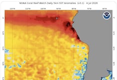 El Niño Costero entra en fase extraordinaria