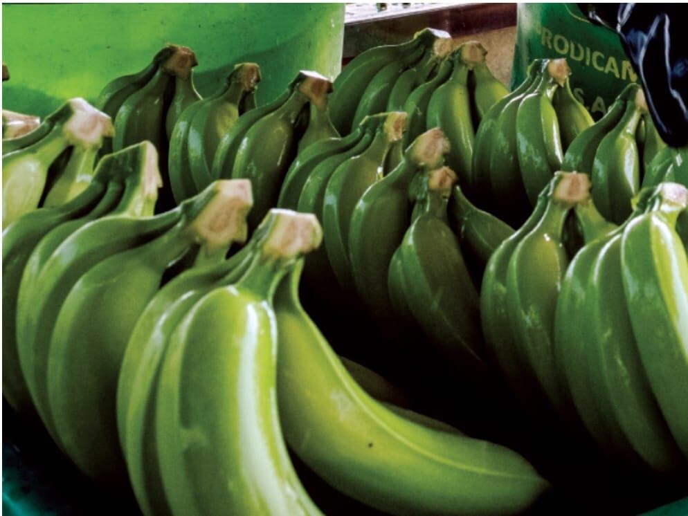 Productos piuranos al extranjero