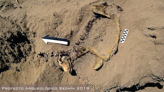 Áncash: encuentran restos óseos de perro de más de mil años de antigüedad en templo Sechín
