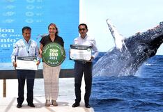 Entregan reconocimiento a la Capital de Avistamientos de Ballenas
