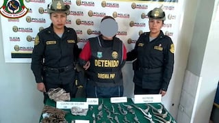 Arequipa: Cae mujer de 52 años por comercializar fauna y flora silvestre en mercado San Camilo