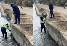 La Libertad: Sereno rescata a un perro que cayó a canal de regadío en Virú