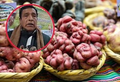 Desde los Andes hasta el Vaticano: productores de papa de Junín saludan a León XIV (VIDEO)