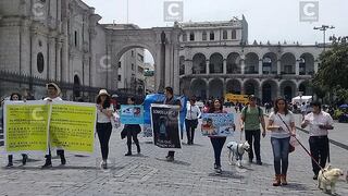 Piden 5 años de cárcel para sujeto que mató a perro en Arequipa