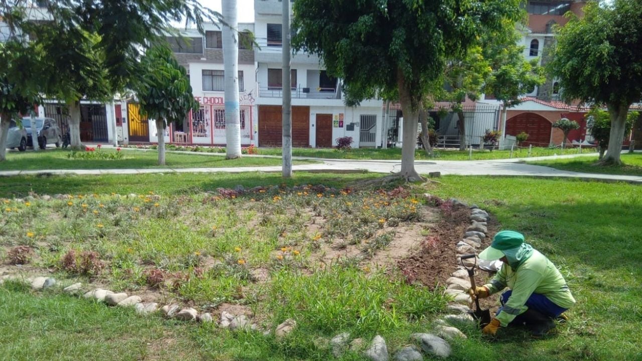 También informaron que 13 compactadoras atienden el servicio de limpieza de la ciudad.