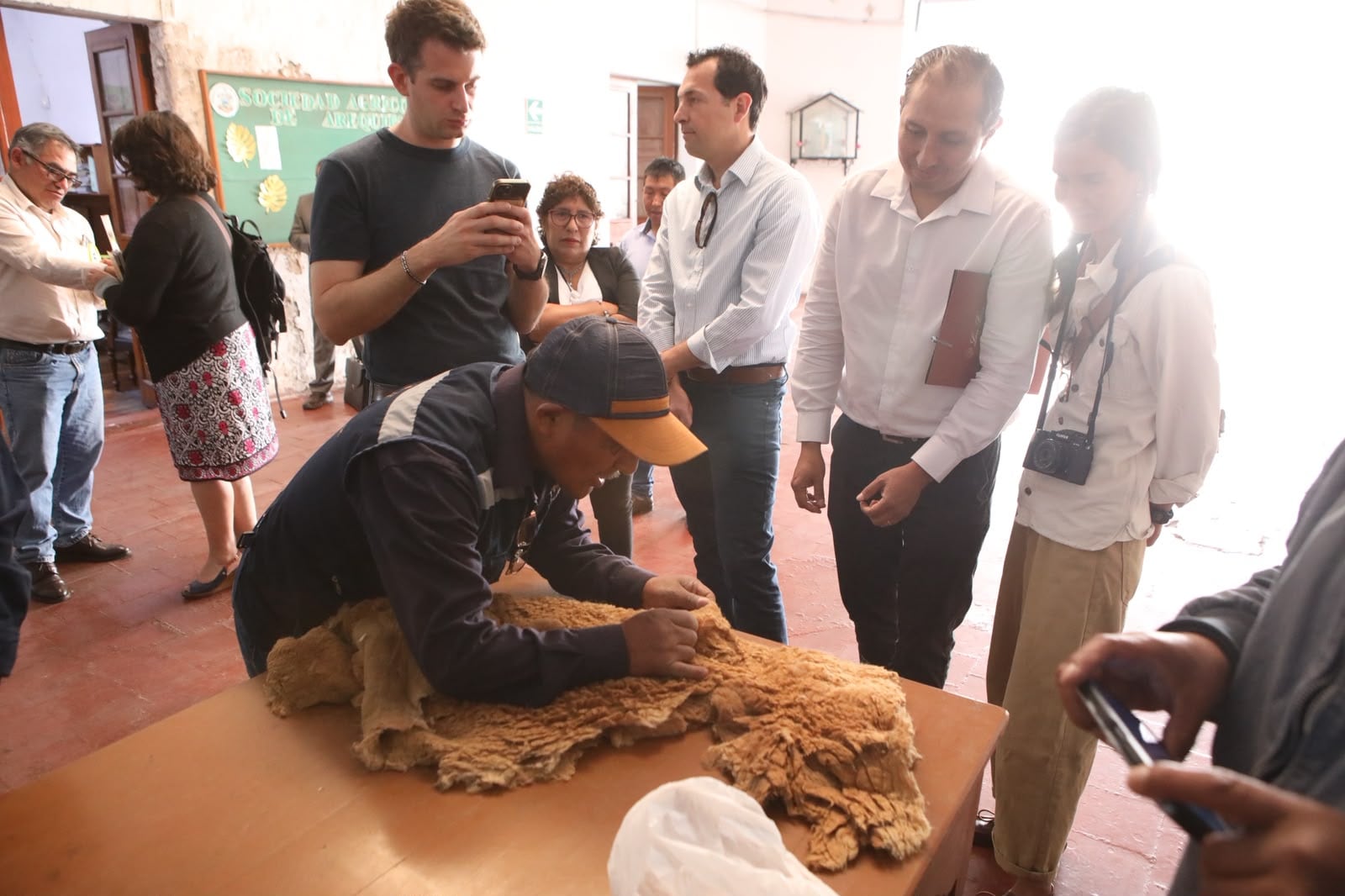 Comuneros de Arequipa venden fibra de vicuña por más de S/ 2,3 millones en subasta (Foto: Serfor)