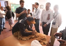 Comuneros de Arequipa venden fibra de vicuña por más de S/ 2,3 millones en subasta