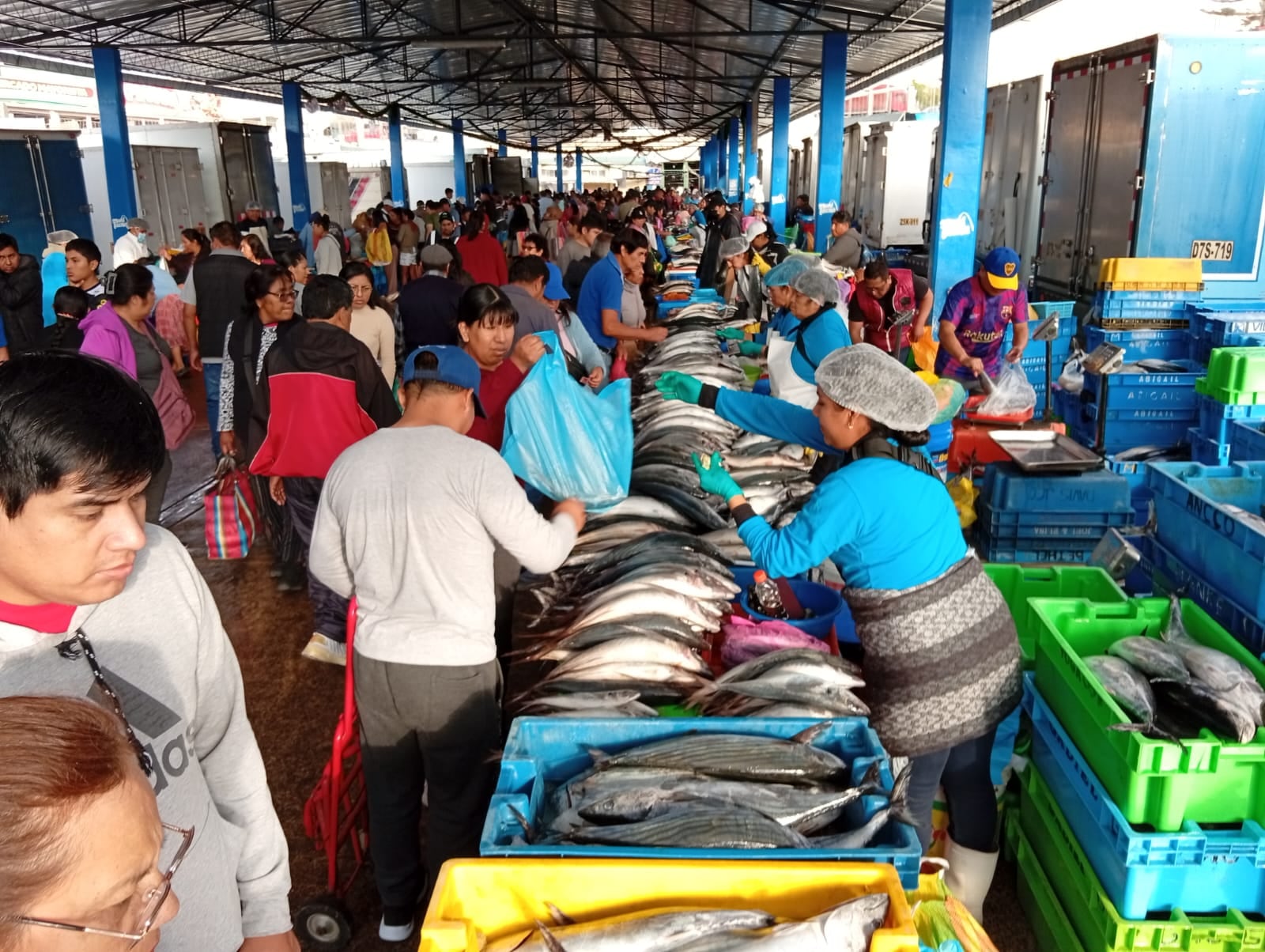 Se descargó 60 toneladas de pescados, 12 de mariscos y 8 de trucha. (Foto: Adrian Apaza)