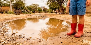Leptospirosis en Perú