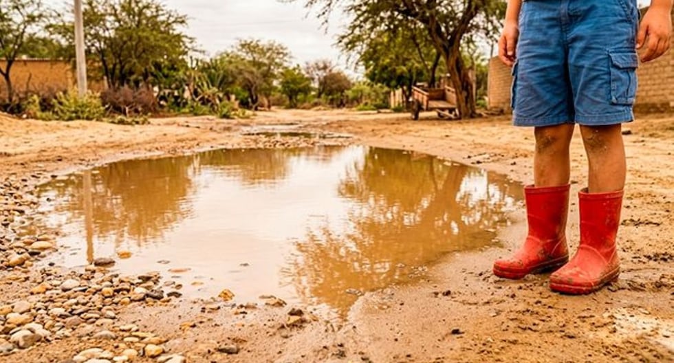 ALERTA LEPTOSPIROSIS: Casos en Junín Aumentan