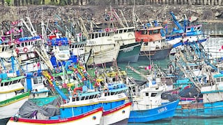 INEI: Sector pesca creció 13.48% en julio
