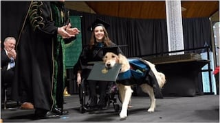 Gradúan con honores a perro que acompañó a su dueña durante su maestría (FOTOS)