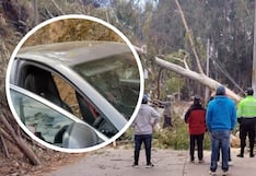 Árboles caen en la ruta a Sacsayhuamán y bloquean paso a locales y turistas
