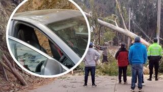 Árboles caen en la ruta a Sacsayhuamán y bloquean paso a locales y turistas