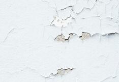 Humedad en el hogar: Soluciones efectivas para cuidar techos y paredes