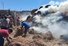 Incendio de 700 pacas de heno puso en peligro a animales en Majes