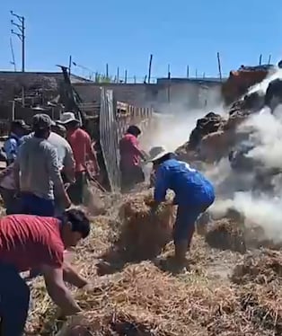 Vecinos y bomberos controlaron el fuego que habría sido causado por estudiantes