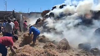 Incendio de 700 pacas de heno puso en peligro a animales en Majes