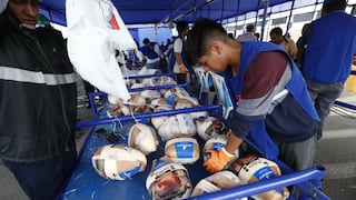 Navidad 2024: Reportan largas filas en las paviferias de Lima y otras ciudades del Perú