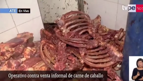 Operativo contra la venta informal de carne de caballo. Foto: TV Perú Noticias