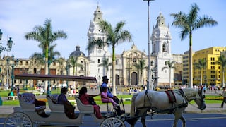 Poder Judicial prohíbe paseos turísticos con caballos en el Centro Histórico de Lima