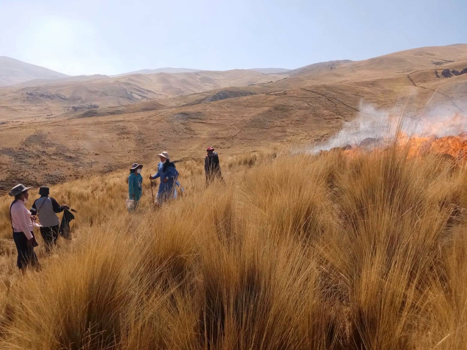 Incendio forestal en Cayarani moviliza a pobladores y autoridades