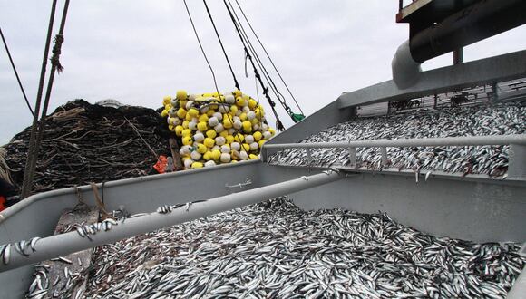 Solo el 35% de la biomasa de anchoveta se captura.